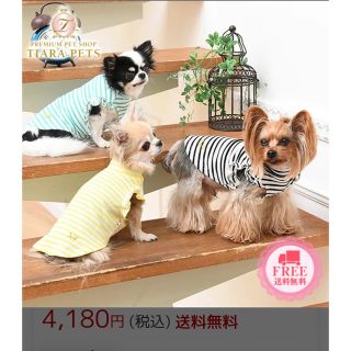 ロペピクニック(Rope' Picnic)の犬服　ロペピクニック　ショルダーフリルカットソー(犬)