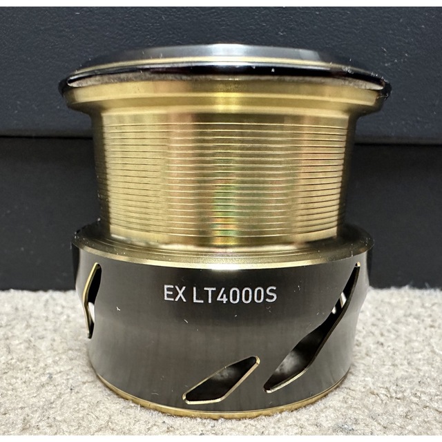 ダイワ SLPワークス EX LT 2スプール 4000S 減額 www.gold-and-wood.com