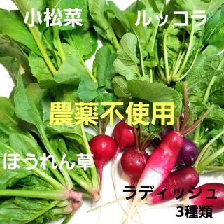 季節の野菜セット(野菜)