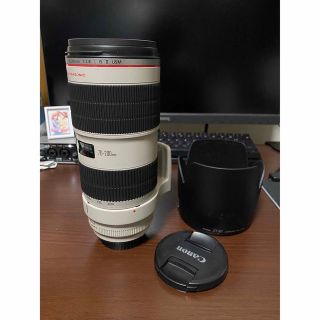 傷擦れ無しのほぼ新品❤️Canon EF-S55-250mm IS STM | tspea.org