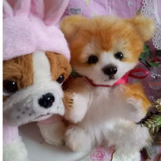 秋田犬　柴犬　フレブル　ブルドック　アートドール　作家　ぬいぐるみ(ぬいぐるみ)