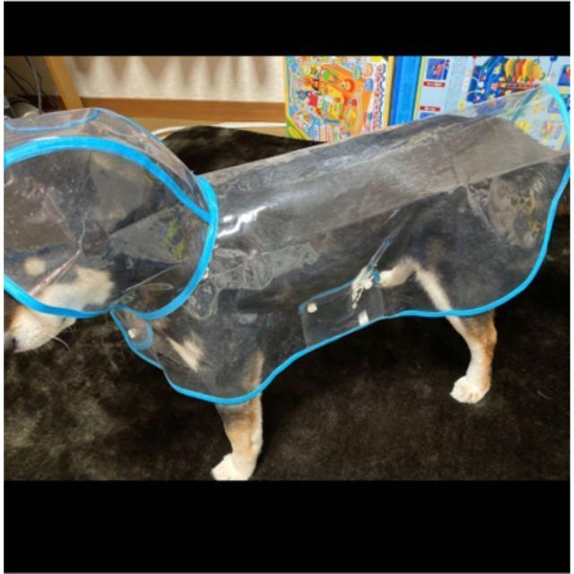 【イエロー】レインコート ポンチョ    中型犬  4ＸＬ ビニール 散歩 その他のペット用品(犬)の商品写真