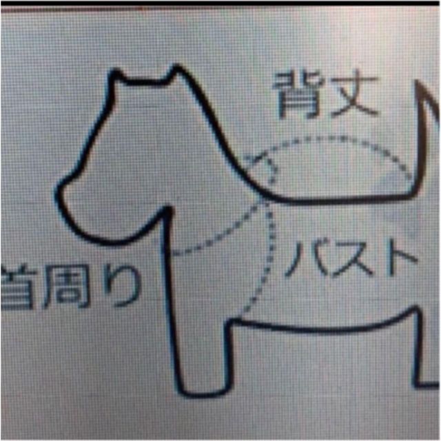 【イエロー】レインコート ポンチョ    中型犬  4ＸＬ ビニール 散歩 その他のペット用品(犬)の商品写真