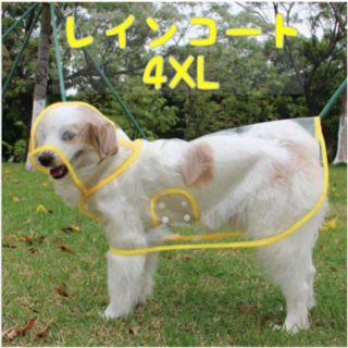 【イエロー】レインコート ポンチョ    中型犬  4ＸＬ ビニール 散歩(犬)