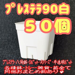 【スリット鉢】プレステラ90白50個 多肉植物 プラ鉢(プランター)