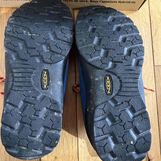 KEEN(キーン)のKEEN  JASPER  24cm レディースの靴/シューズ(スニーカー)の商品写真