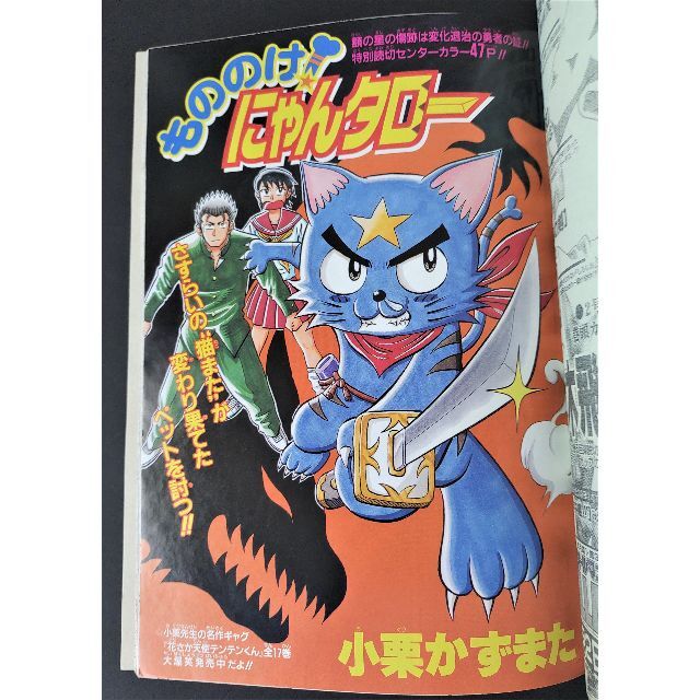 週刊少年ジャンプ　ヒカルの碁　折り込みポスター　切り抜き　５２枚