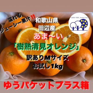 ①和歌山県田辺産 清見 きよみ 清美 柑橘 蜜柑 みかん お試し1kg(フルーツ)