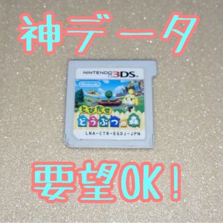 アイアイメディカル(AIAI Medical)の神データ　とびだせ どうぶつの森(家庭用ゲームソフト)