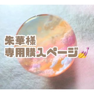 朱華様専用購入ページ💅(つけ爪/ネイルチップ)