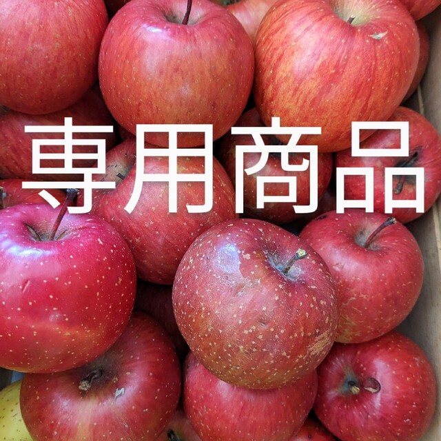 もこ様専用 訳あり加工用!青森県産りんご《サンふじゴロゴロ》20kgの