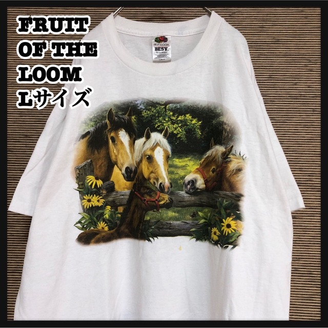 FRUIT OF THE LOOM(フルーツオブザルーム)の【フルーツオブザルーム】半袖Tシャツ アニマル　ウマ　花柄　馬　ボタニカル37 メンズのトップス(Tシャツ/カットソー(半袖/袖なし))の商品写真