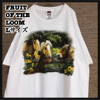 フルーツオブザルーム(FRUIT OF THE LOOM)の【フルーツオブザルーム】半袖Tシャツ アニマル　ウマ　花柄　馬　ボタニカル37(Tシャツ/カットソー(半袖/袖なし))