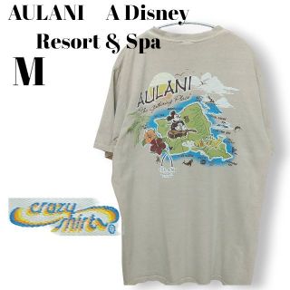 ディズニー(Disney)のコナコーヒー染め ヴィンテージ ハワイアウラニディズニーリゾート限定　Tシャツ　(Tシャツ/カットソー(半袖/袖なし))