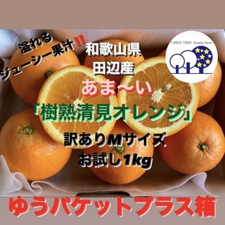 ③和歌山県田辺産 清見 きよみ 清美 柑橘 蜜柑 みかん お試し1kg(フルーツ)