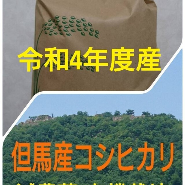 ⭐️令和四年産⭐️岡山県産農家直送 コシヒカリ 20キロ - 米