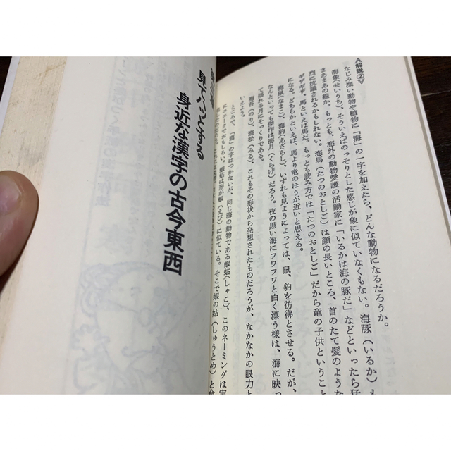 新・漢字に強くなる本　日本語を忘れた日本人のために/監修　松村暎/かんきブックス