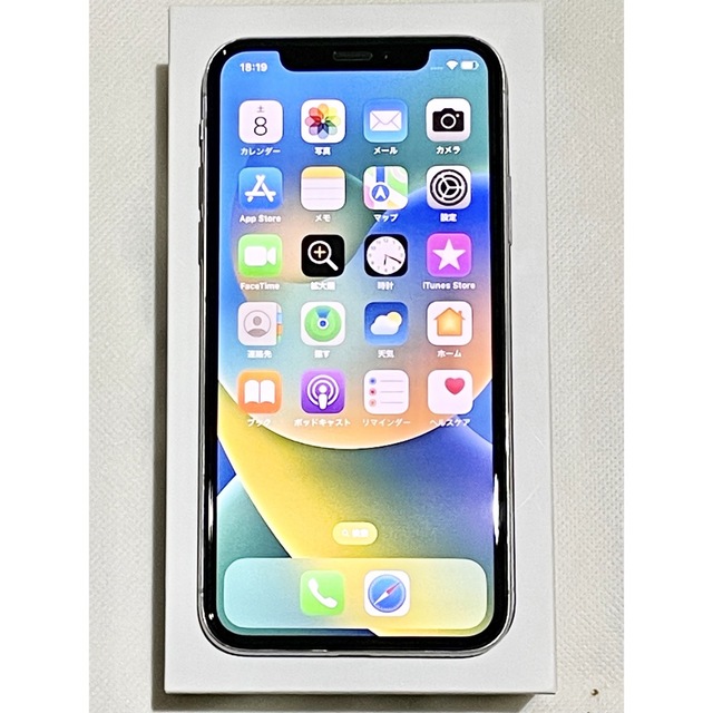 iPhoneX 256GB