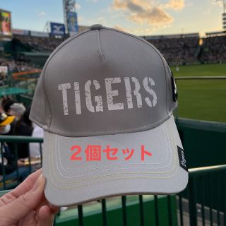 ２個‼︎阪神タイガース　カジュアルグレーキャップ(記念品/関連グッズ)