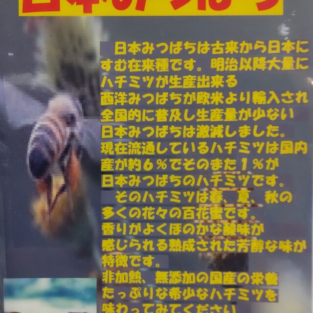 最終値下げ　国産蜂蜜　宮城県産　日本みつばち蜂蜜　まとめて2本　送料込み