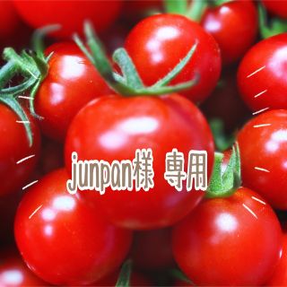 ミニトマト　４ｋｇ(２ｋｇ×２)(野菜)