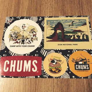 チャムス(CHUMS)のチャムス　ステッカー　5種類（非売品）(ノベルティグッズ)