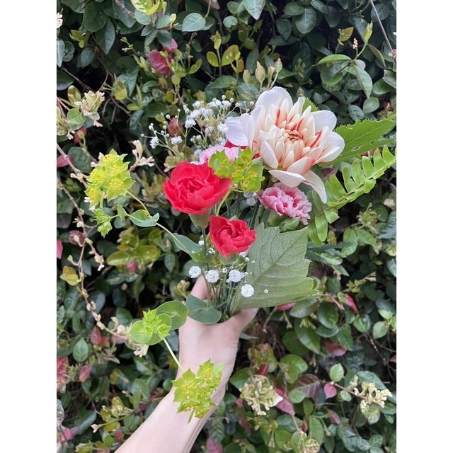 ■季節のお花のメール便■切花生花メール便780円 ハンドメイドのフラワー/ガーデン(その他)の商品写真