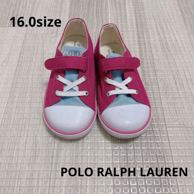 POLO RALPH LAUREN(ポロラルフローレン)の059 キッズ用品 / POLO RALPH LAUREN / 靴16.0 キッズ/ベビー/マタニティのキッズ靴/シューズ(15cm~)(スニーカー)の商品写真