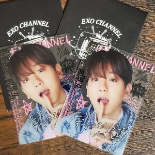 エクソ(EXO)のEXO ペンミグッズ BAEKHYUN(アイドルグッズ)