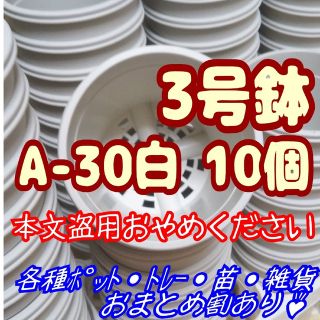 プラ鉢3号鉢【A-30】10個 スリット鉢 丸 プレステラ 多肉植物(プランター)