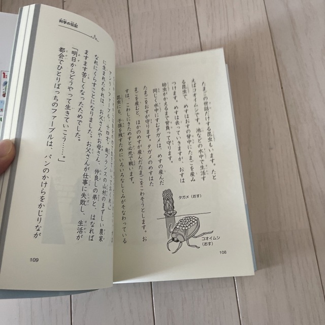 児童書　なぜ？どうして？科学のお話４年生 エンタメ/ホビーの本(絵本/児童書)の商品写真