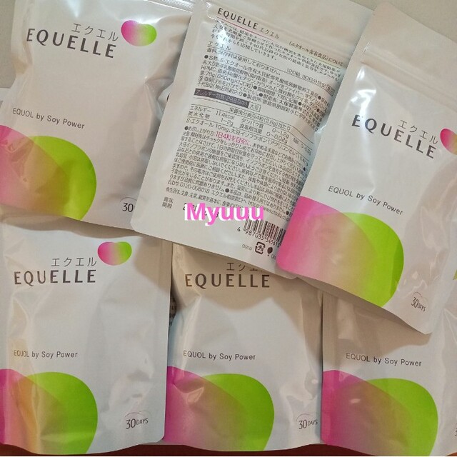 ６袋 EQUELLE エクエル パウチ 120粒 エクオール含有食品 高評価