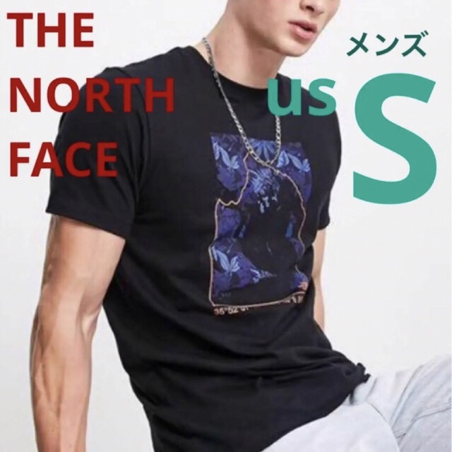 THE NORTH FACE(ザノースフェイス)の《新品》THE NORTH FACE メンズ  Tシャツ 黒 S メンズのトップス(Tシャツ/カットソー(半袖/袖なし))の商品写真