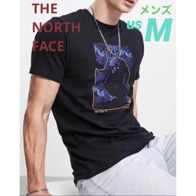 THE NORTH FACE ノースフェイス　海外限定・日本未発売Tシャツ　M