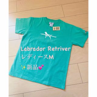 ラブラドールリトリーバー(Labrador Retriever)のラブラドールレトリーバー✨新品✨Tシャツ　レディースM(Tシャツ(半袖/袖なし))