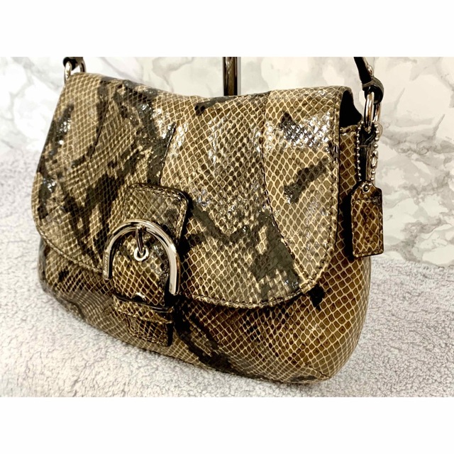 新品✨【PYTHON SKIN GENUINE】高級素材パイソンショルダーバッグ