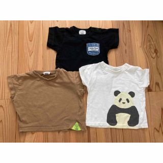 ブリーズ(BREEZE)のTシャツ3枚セット　サイズ80(Ｔシャツ)