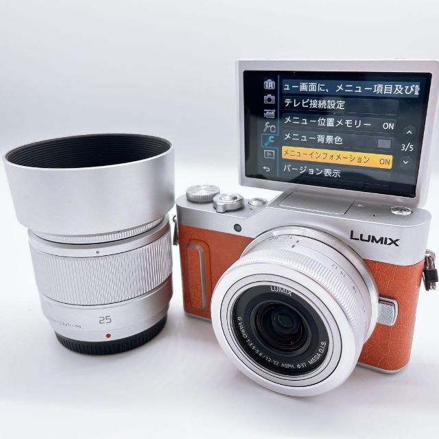 Panasonic DC−GF10 DC-GF10WA 最低価格の www.gold-and-wood.com