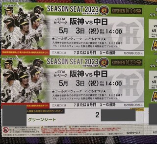 5月3日　阪神vs中日　ｸﾞﾘｰﾝｼｰﾄ通路側　連番２枚(野球)