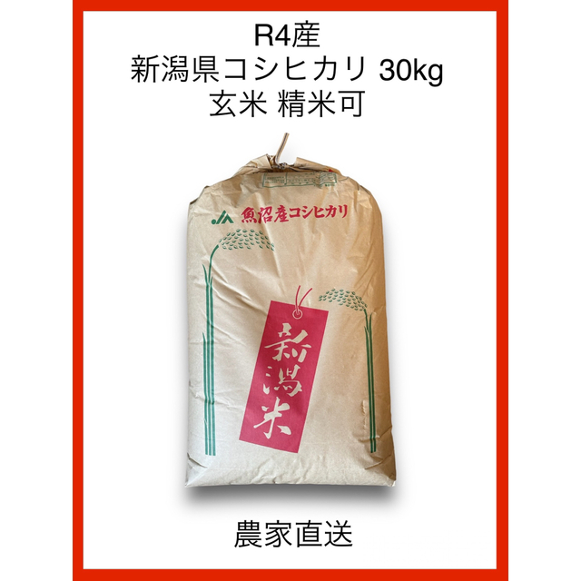 30kg　米/穀物　玄米　農家直送　令和4年　新潟県産コシヒカリ