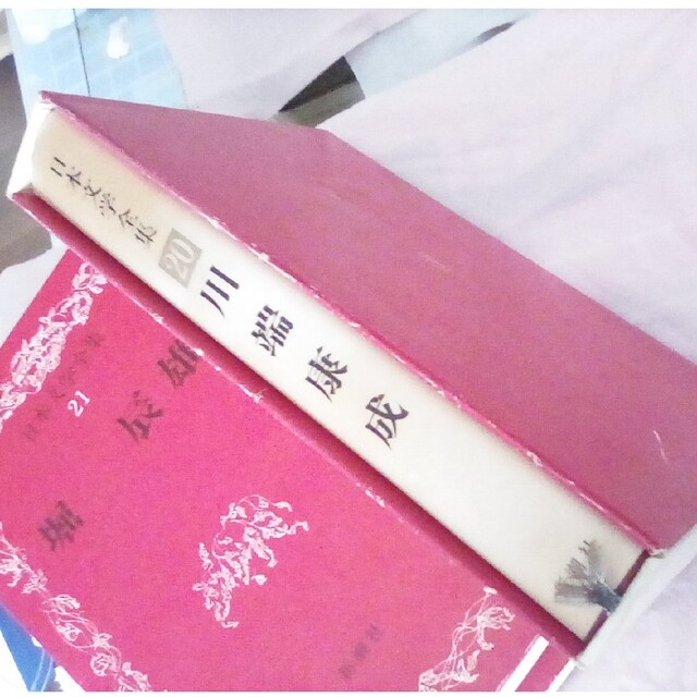 日本文学全集20 川端康成 本 お買い得価格 - 通販 - faculdadeasa.com