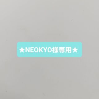 ★NEOKYO様専用★(その他)