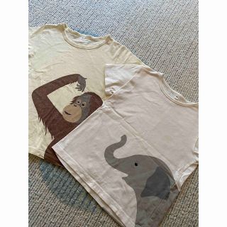 ムジルシリョウヒン(MUJI (無印良品))の無印　キッズTシャツ2枚セット(Tシャツ/カットソー)