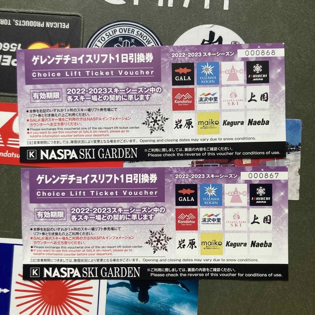 共通リフト１日引換券２枚セット　NASPA