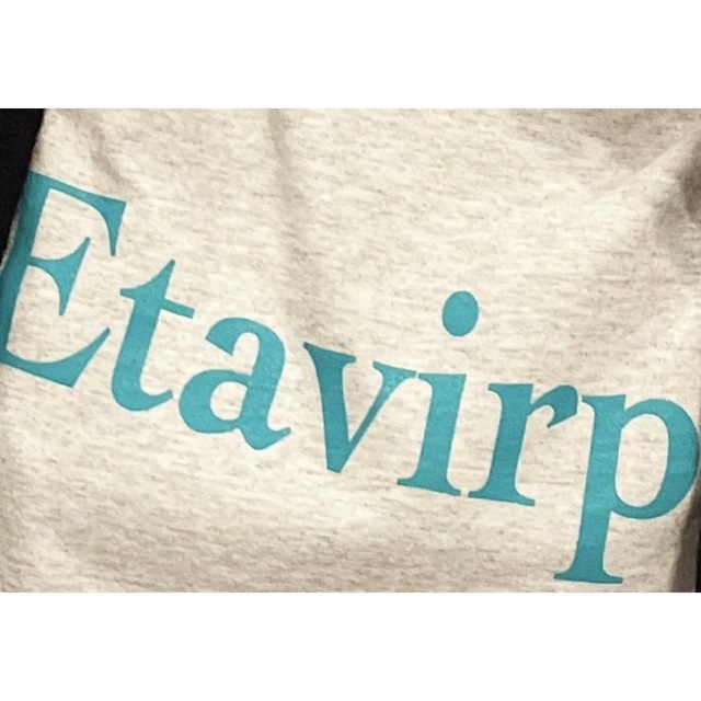 Etavirp Logo T-Shirt. (Ash × Aqua) ennoy メンズのトップス(Tシャツ/カットソー(半袖/袖なし))の商品写真