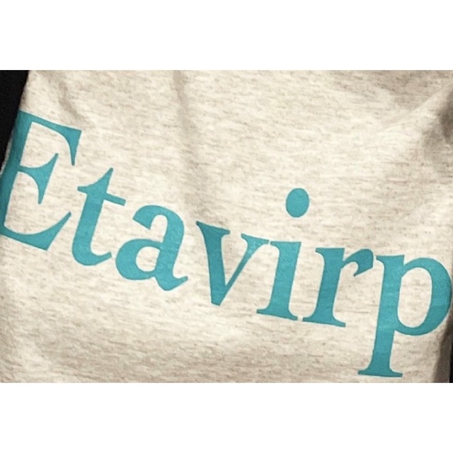 Etavirp Logo T-Shirt. (Ash × Aqua) ennoy