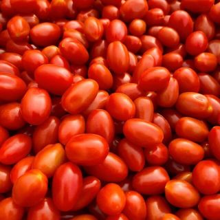 熊本県産ミニトマト「茜とまと1キロ」(野菜)