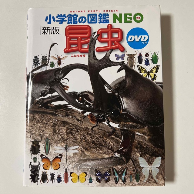 小学館(ショウガクカン)の小学館　図鑑NEO 【新版】昆虫　DVD付き エンタメ/ホビーの本(絵本/児童書)の商品写真