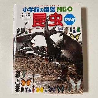 ショウガクカン(小学館)の小学館　図鑑NEO 【新版】昆虫　DVD付き(絵本/児童書)