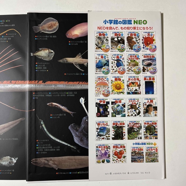 小学館(ショウガクカン)の小学館　図鑑NEO 【新版】魚　DVD (未使用)付き エンタメ/ホビーの本(絵本/児童書)の商品写真